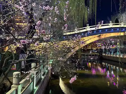 图片[4]-琵琶桥春色-诗榜