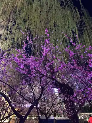 图片[2]-琵琶桥春色-诗榜