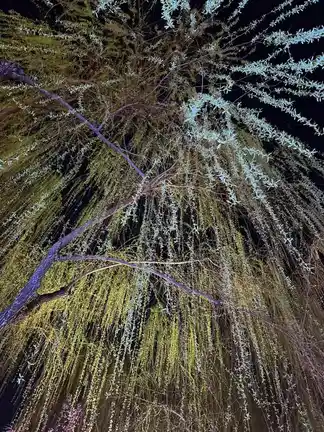 图片[1]-琵琶桥春色-诗榜