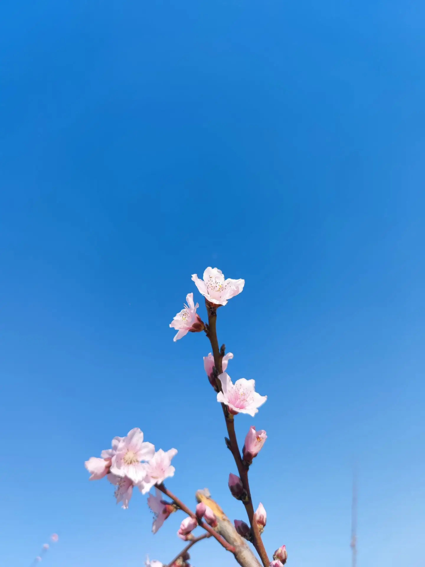 冬尽-诗榜