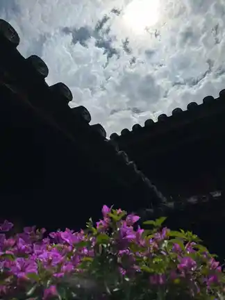 图片[3]-剑川古城西门街游记-诗榜