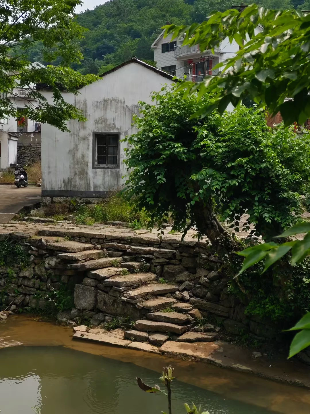 初夏闲居-诗榜