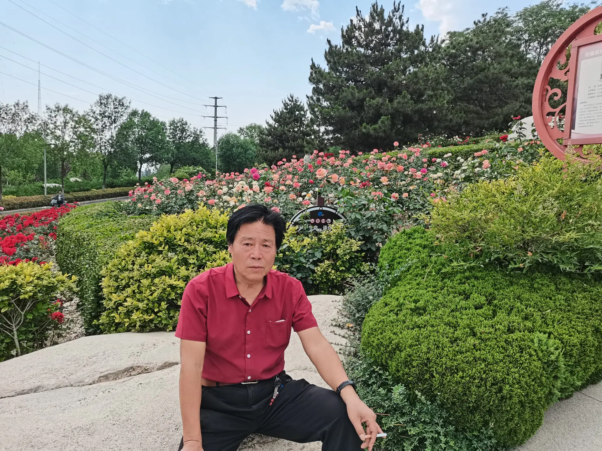 与济南诗友梅松视频有作-诗榜