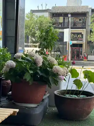 图片[1]-荷-诗榜