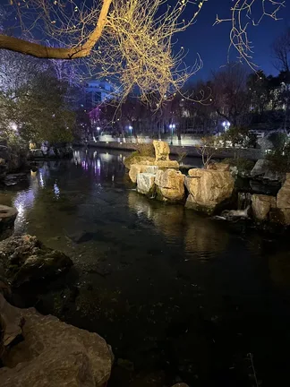 图片[9]-夜河    其一-诗榜