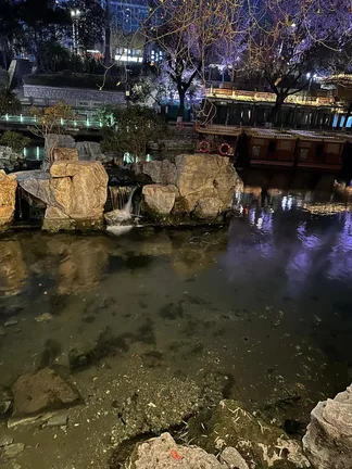 图片[6]-夜河    其一-诗榜