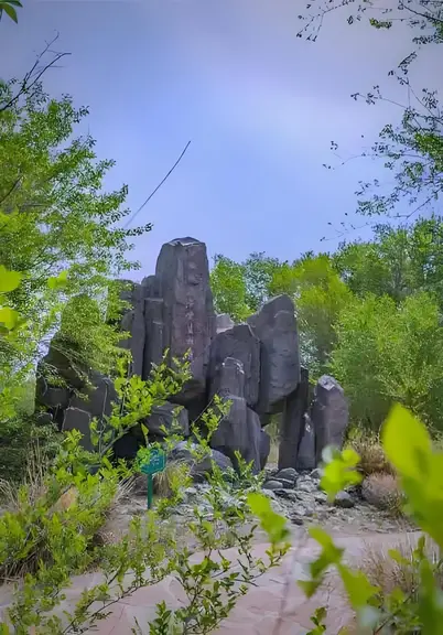 图片[7]-屯河谷森林公园雅遊（孤雁）-诗榜