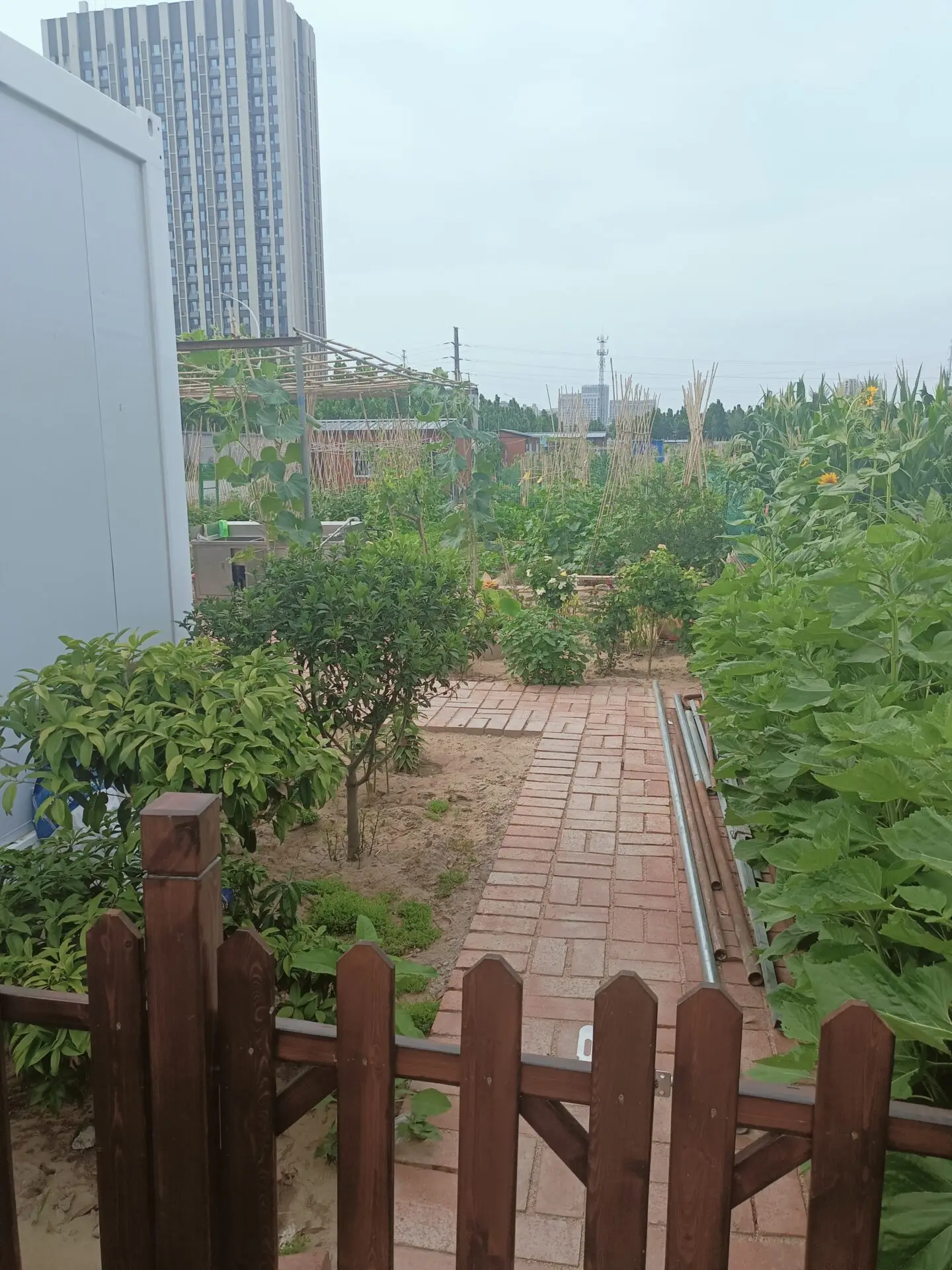 永杰桂园开市校友小聚有寄-诗榜