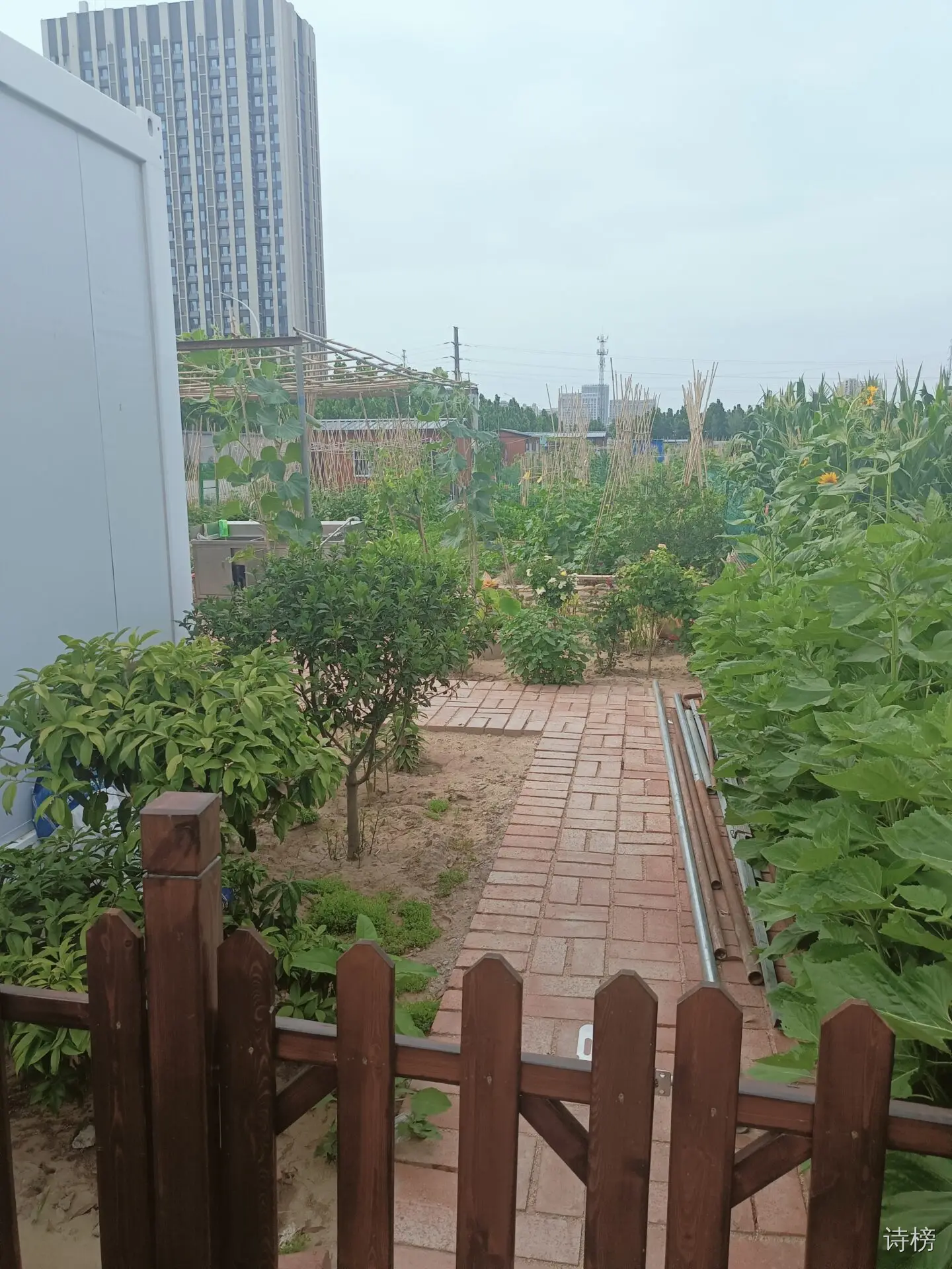 图片[1]-永杰桂园开市校友小聚有寄-诗榜