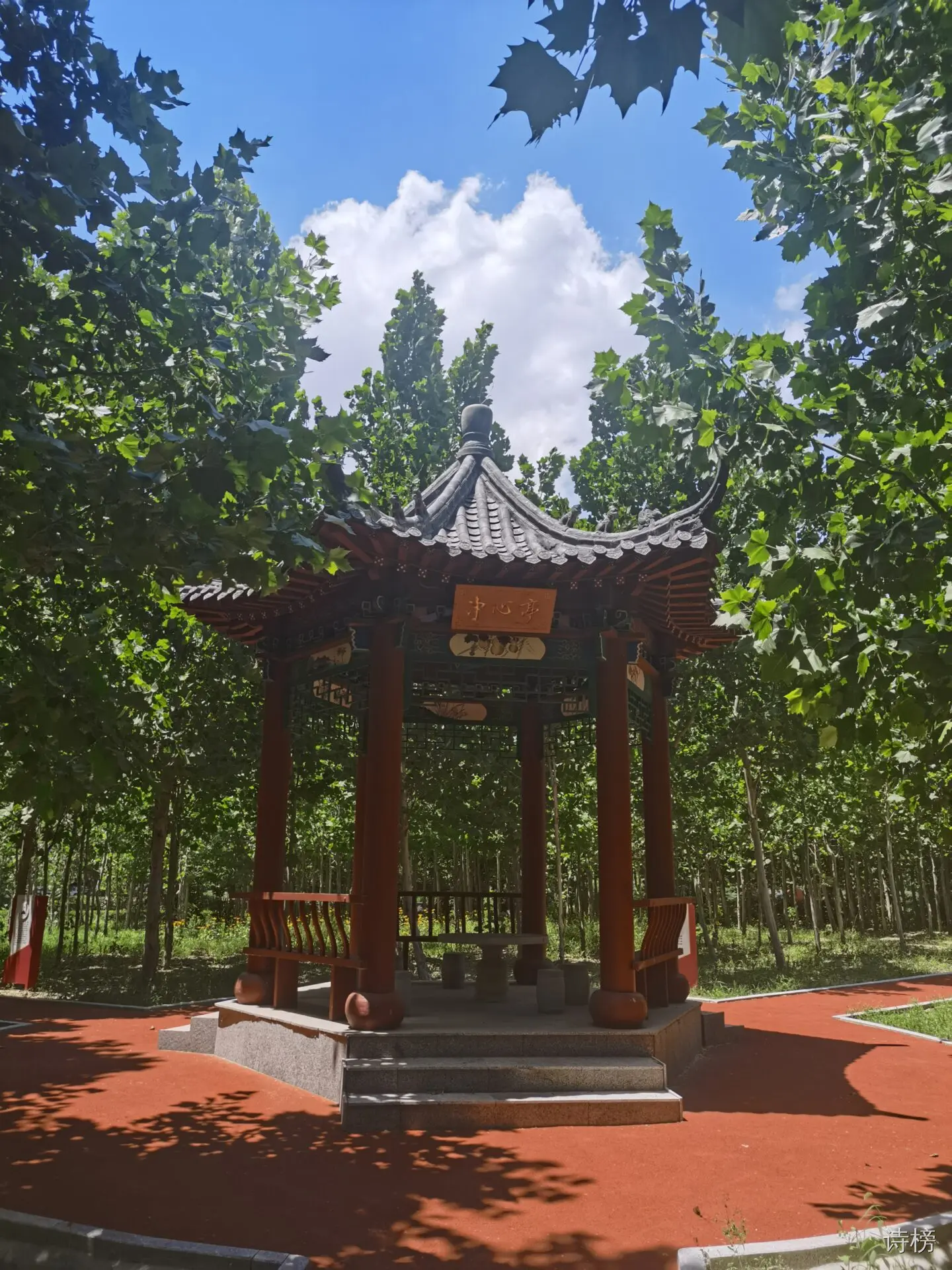图片[1]-敬挽张军桥医生-诗榜