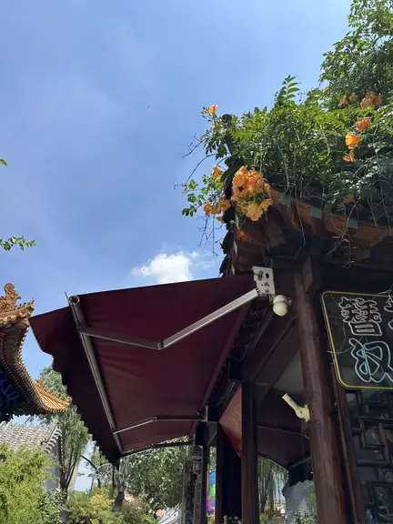 图片[2]-凌霄花-诗榜