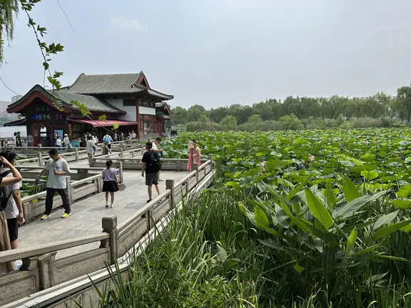 图片[3]-消夏-诗榜
