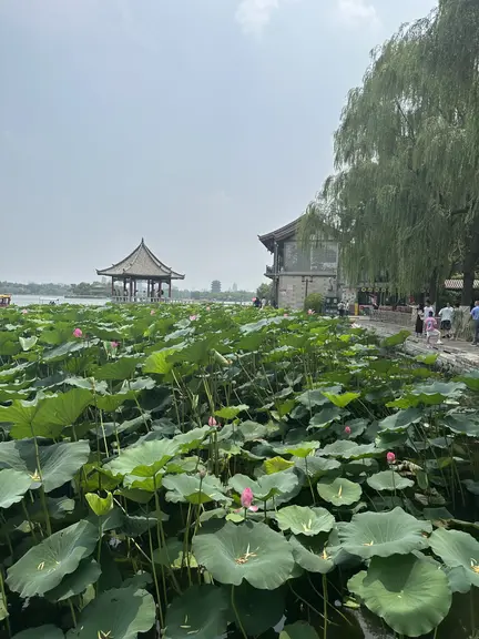图片[2]-周末小休-诗榜