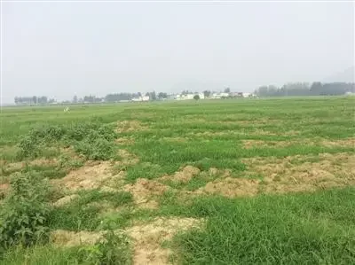 见老家土地荒芜有感-诗榜