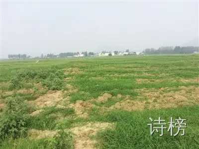 图片[1]-见老家土地荒芜有感-诗榜