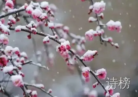 图片[1]-春风-诗榜