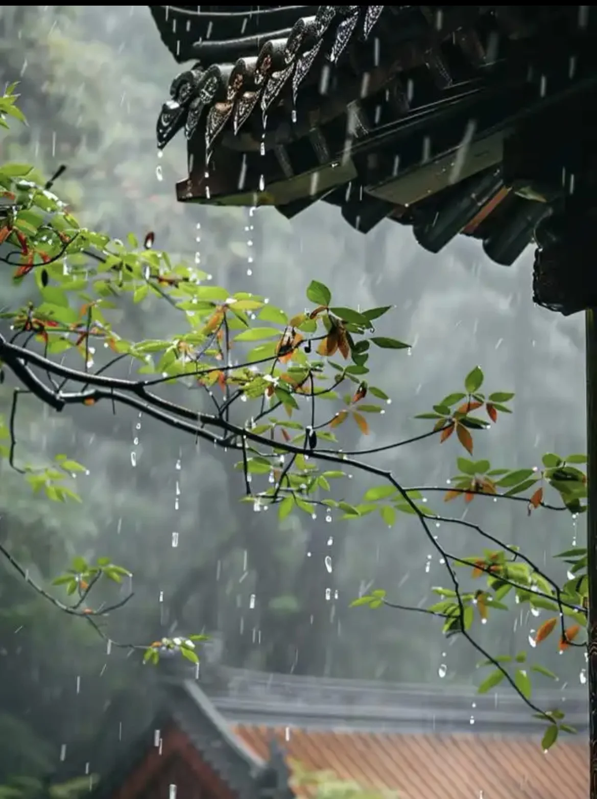 听雨-诗榜