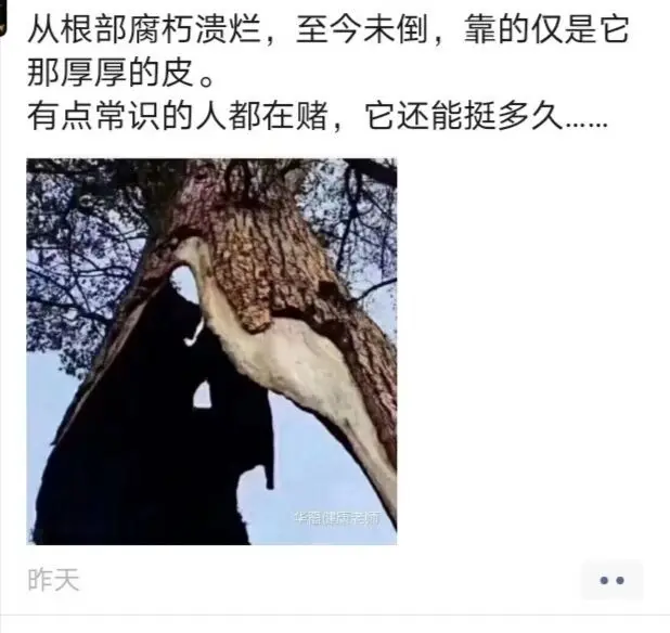 打一油-诗榜