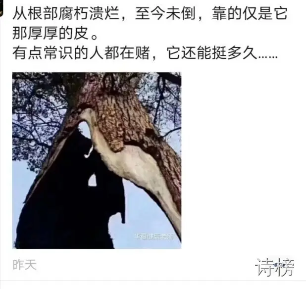 图片[1]-打一油-诗榜
